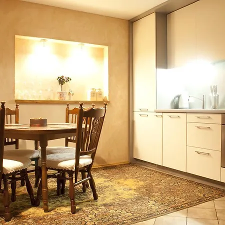 Vingriu Studio Apartment *